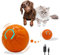 FluffMinds Interactive Dog/Cats Ball Toy, Durable Motion Activated Automatic Self Rolling Ball Toys for Puppy/Small/Medium Dogs and cats, USB Rechargeable, Great for Boredom Mind Games
