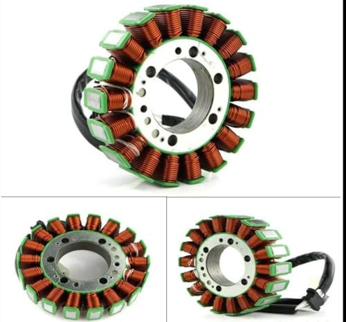 Teram Freizeitstator Zündung für Lichtmaschine Kawasaki KLE650 2007 bis 2016 / ZX6R 600 2005 2006 / ER400N R 2011 bis 2013 / ZX6R 636 2005 2006 / ER6N 2006 bis 200000006 011/ERER. 6F 2006 bis 2011.
