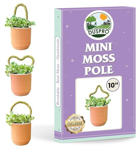 DUSPRO Bendy Mini Moos Pole Kleine Rankhilfe für Kletterpflanzen Indoor Flexible Pflanzenstützstab Dekorativ DIY Moos Rankgitter Ideal für Babypflanze, Blume, Tiny Monstera, Frauen Gartenarbeit