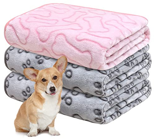 Gorgelly 1 Pack 3 Hundedecke, Weiche Haustierdecke Waschbar, Kuscheldecke Flauschig für Kleine Mittlere Hunde Katzen, Sofaschoner für Hunde, Hundedecke für Unterwegs, 80x60 cm