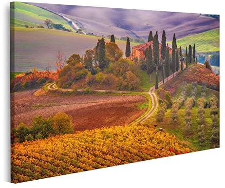 islandburner Bild auf Leinwand Sonnenaufgang Italien Schöne Goldene Toskana Weinberg Bilder Wandbilder Poster INBT-1K