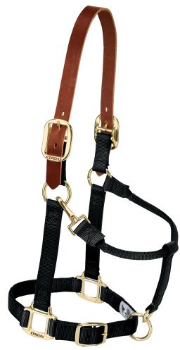 Weaver Leather Sicherheits-Halfter für Pferde aus Nylon, verstellbar, durchschnittliche Größe, Schwarz