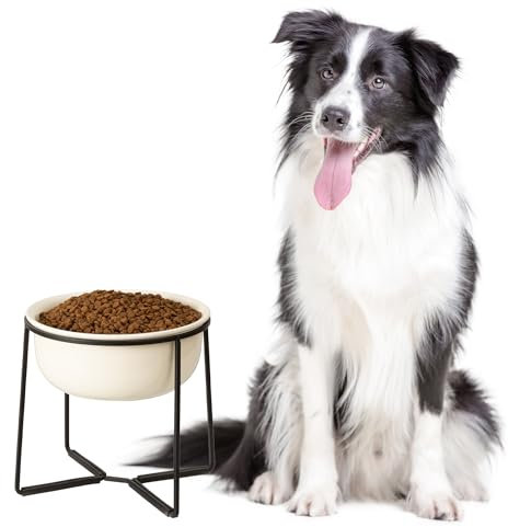 Elevated Ceramic Dog Food Bowl - Raised Large Dog Bowl with Non-Slip Metal Stand - Heavy Weighted Big Dog Dish - Deep Dog Water Bowl - Ideal for Medium and Larges Dogs - 3.5 Cups - 54 oz - Beige