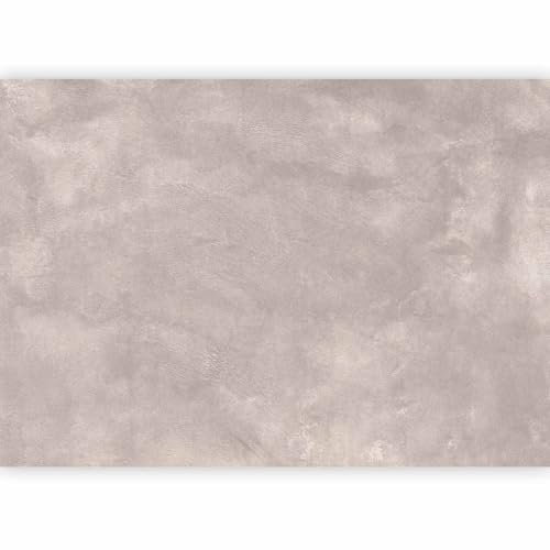 murando - Papier peint panoramique intissé 150x105 cm - Revêtement mural chambre salon - Design unique décoration - Duvet rose : chaux rose poudré - Structure texturée beige subtile f-C-10115-a-a