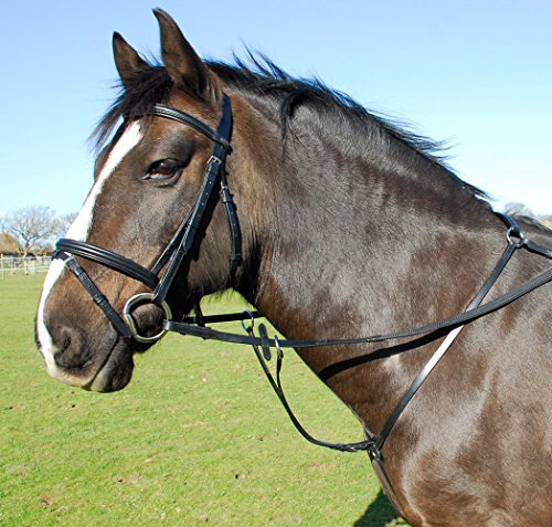 Heritage English Leather Breastplate with detachable Running Martingale Blk Brn (Cob, Havana Brown)