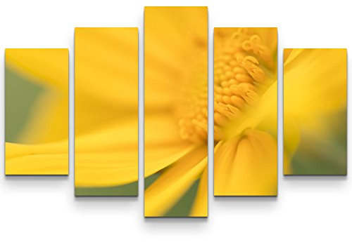 SIN-US 74 Wandbild (Gesamtmaß: 150x100cm) Gelbe Blüte im Frühling