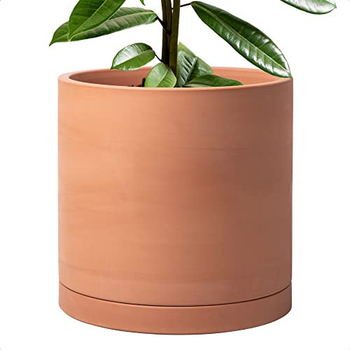 D'vine Dev Pot de Fleurs XL en Terre Cuite de 30,5 cm avec Trou de Drainage et Soucoupe, Pot de Fleurs Rond cylindrique pour Plantes d'intérieur, 40-X-A-6