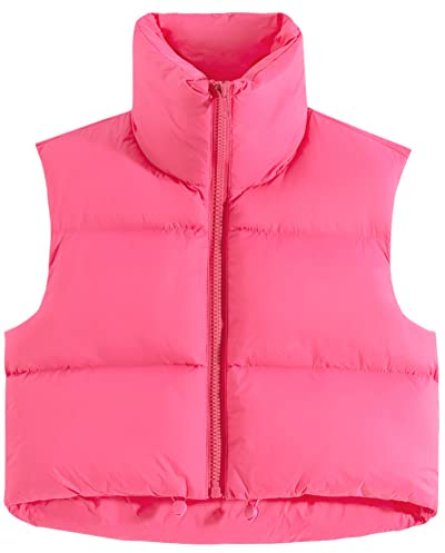 fuinloth Gilet da Donna Primaverile e Autunnale Smanicato Senza in Tinta Unita Giacca Senza Maniche Cappotti con Cerniera Rosa Rossa L