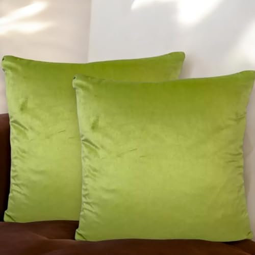 Seechoo Set di 2 federe per cuscino in velluto, 45 x 45 cm, 17 colori, extra morbide, decorative, con cerniera invisibile (verde lime)