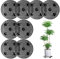 Asfrode 8 soportes para plantas en maceta, 30 cm, soporte grande para plantas, macetas de malla, soporte para plantas en maceta, esteras de plástico, posavasos, rejilla para bonsái para drenaje