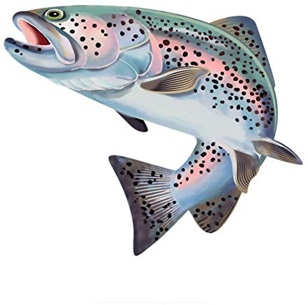 MACMRD Auto Aufkleber Bunte Forelle Fisch Auto Aufkleber Kratzfest Auto Aufkleber wasserdichte Auto Dekoration