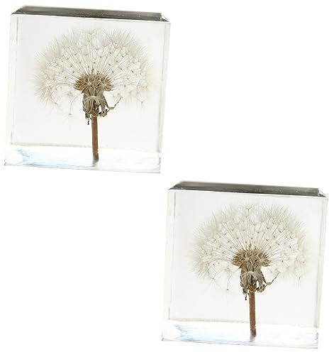 Warmhm 2 Stück Löwenzahn-Würfel-Ornament Schreibtisch-Tischdekoration Ornamente Schreibtisch-Dekoration Büro-Dekoration Löwenzahn-Würfel Handwerk Löwenzahn-Briefbeschwerer