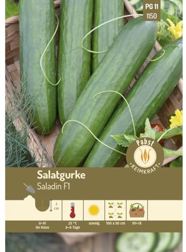 Pabst Keimkraft - Salatgurke lang & bitterfrei Saladin F1 Samen - 171150