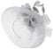 Caprilite Silver Grey Fascinator Headband Veil Wedding Ascot Races Net Hat Feathers Hatinator, One Size