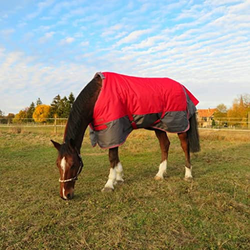 Stalldecke TYREX 1200D EquiTheme schwarz/Himbeere 155cm