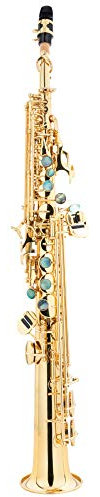 Lechgold LSS-20L Sopran-Saxophon gerade - aus lackiertem Messing - Kräftiger, runder Klang - Inklusive ESM Mundstück aus deutscher Fertigung und Leichtkoffer mit Rucksack-Garnitur - lackiert