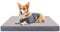 Nobleza Hundebett für Kleine Hunde, 75x50x8cm Hundekissen, Orthopädisches Hundematte, Waschbar Hundematratze, Größe M, Grau