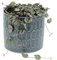 KENTIS - Ceropegia Woodii - Pianta Collana di Cuori - Piante Vere da Appartamento - Pianta Succulenta Ricadente Decorativa da Interno Facile Cura - Vaso Ø 14 cm