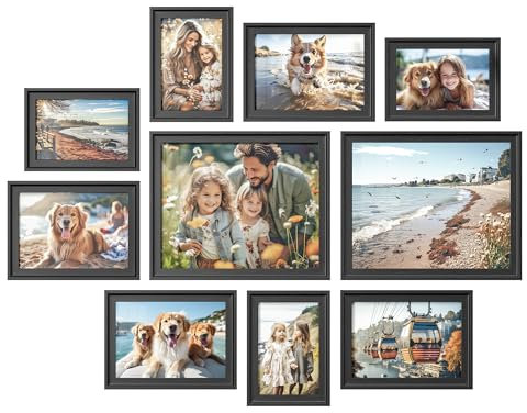 SONGMICS Cadres Photo, Lot de 10, Deux 20 x 25 cm, Quatre 13 x 18 cm, Quatre 10 x 15 cm, à suspendre ou à poser sur une table, MDF et verre, Noir Cendré RPF049B01