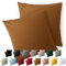 Blumtal Taie Oreiller 65x65 Lot de 2 - Housse de Coussin Microfibre - Taies d'oreillers avec Fermeture enveloppe, certifiée Oeko-Tex, Extra Douce et Lavable - Marron