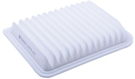 Castrol Filters CA0100 Air Filter