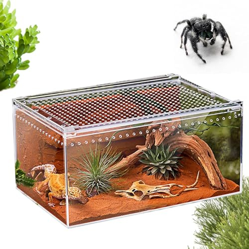 Imtrub Springspinnen Gehege | Transparentes Acryl Glas Terrarium für Reptilien - Reptilien Terrarium,Für Geckos Schlangen Frösche Chamäleons Bartagamen Schildkröten