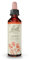 FLEURS DE BACH ORIGINAL - Aspen No 2 - Pour plus de Sécurité & Sérénité Face à l’Inconnu - Élixir Floral Naturel - Compte-Gouttes 20 ml Vegan