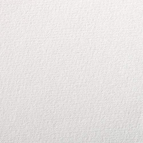 Clairefontaine 93890C Zeichenpapier Papier à grain (160 g, gekörnt, ideal für Trockentechniken, 25 Blatt, DIN A4, 21 x 29,7 cm) weiß