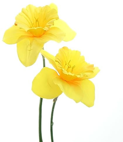 GASPER Trompeten-Narzissen - Osterglocken Gelb 2 Blüten 55 cm - Kunstblumen