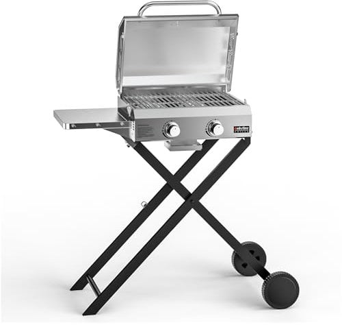 Onlyfire 2-Brenner Gasgrill Klein aus Edelstahl 4,7 kW mit Faltbarem Wagen, Seitenablagen und Grillrost, Gartengrill, Outdoor Gasgrill für Balkon Camping