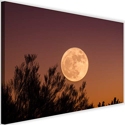 Feeby Wandbild Mond Kunstdruck Art Leinwandbild Vollmond Natur Braun 90x60 cm