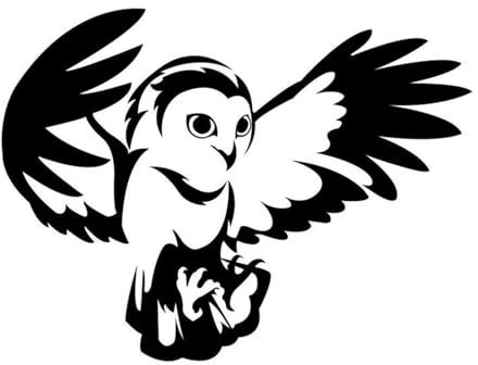 2 x Autoaufkleber für Auto (schwarz/weiß), Eulen-Aufkleber, Größe 12,9 cm x 9,7 cm