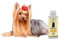 Shampoo + Balsamo Naturale e Vegetale - Delicato e Profumato - per Cani dal Pelo Lungo, Linea 101 (100ml)