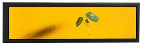 VSDISPLAY 8,8 Zoll PC Monitor 480x1920 USB-C 600 nits für CPU GPU Display | für Win-dows 10/11/ R-Pi/Sekundärdisplay