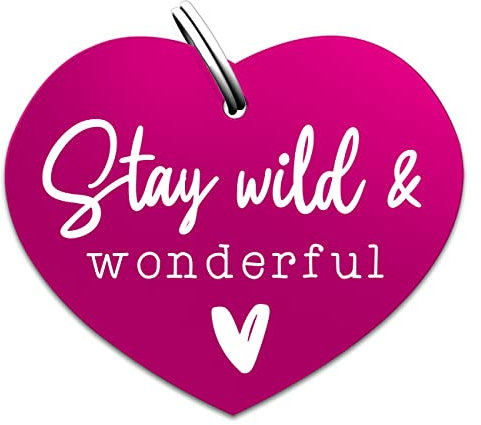 Soulhorse Marke Pferd Pony Hunde Glücksmarke Pferdemarke Gücksbringer Schutzengel Sattel Herz Trense Zaumzeug Vorderzeug Schlüsselanhänger Talisman für Tiere und Menschen Stay wild and Wonderful pink