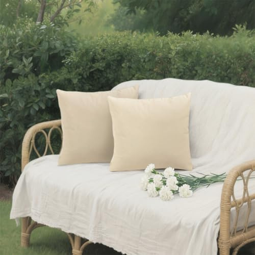 Bai You Mei Kissenbezüge Outdoor, Outdoorkissen 45 x 45 cm Kissenbezug Wetterfest Kissenhülle Sofakissen Dekokissen Gartenkissen Modern für Garten Sofa Balkon Terrasse Deko 2er Set (Beige)