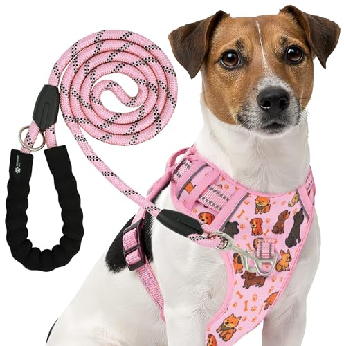 Reichstadt Pets Hundegeschirr mit Leine Set 25RSP083-4 Puppy Pink M