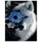 DAERLE Diamond Painting Set Wolf Diamant Painting Bilder 5D Diamant Painting Painting Kinder DIY malen nach Zahlen Erwachsene Runden Diamanten Dekoration und Geschenk 30x40cm Wolf und Blaue Blume