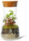 Complete Bottle Terrarium Kit: Create Your Own Miniature Garden Oasis | Includes Glass Container, PLANTS, Substrates, Cork Lid, Light up Terrarium, DIY Terrarium Kit, Optional LED Light (Standard Lid)