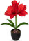Arborus Künstliche Amaryllis 44 cm Kunstblumen Rot Blüende Kunstpflanzen im Topf wie Echt Künstliche Blumen Dekoblumen für Frühling Sommer Winter Deko auf Tisch Regal Fensterbank Balkon Kamin im Haus