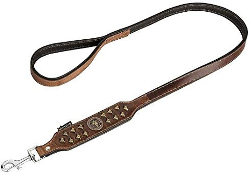 MICHUR Diego Braun 1. Wahl!! Leine, Hundeleine Leder, Flachleine, Lederleine Hund, PASSEND ZUM Halsband Diego Braun Gold, Gr. 150cm x 2,5cm