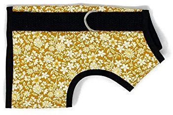 Kitty Holster Katzengeschirr, Größe XS, blühendes Gold