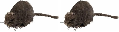 Boland 72162 Figurine pour décoration Rat Squelette, 15 x 8 cm (Lot de 2)