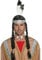 Smiffys Indianerin Perücke von amerikanischen Ureinwohnnern inspiriert, mit geflochtenen Zöpfen und Feder-Stirnband