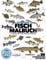 Das ultimative FISCH MALBUCH für kleine & große Angler | mit 30 einheimischen Fischarten | spielend Fische lernen: Standard Edition | Farbige Seiten | 8.5 x 11