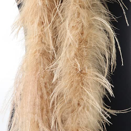 SYSUII Flauschige Marabu-Boa zum Basteln, 200 cm Natürliche Straußenfeder Schal Federboa DIY Verkleidung Zubehör Halloween Hochzeit, Party Dekorationen 1920s Gatsby Karneval Kostümzubehör -Kamel