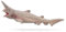 Collecta Deqube 90188989 Requin Lutin Figurine à Collectionner Taille L