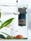 boxtech Aquariumfilter Interner 3W,4 in 1 Aquariumfilter Leistungspumpe Ultra Leise Einstellbarer Schwammfilter,Durchflussmenge 220L/H, geeignet für 5-65 Liter