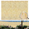 Arelle Bamboo Esterno Protezione Solare Canne Recinzione per Giardino Privacy Divisorio Con Canne Di Bambu per Arredo Tessuto a Mano Facile Da Installare Per La Stanza Portico Tetto Parete Piscina(Nat
