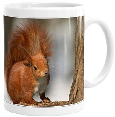 Merchandise for Fans Becher aus Keramik - 330 ml Motiv: Eichhörnchen (01)